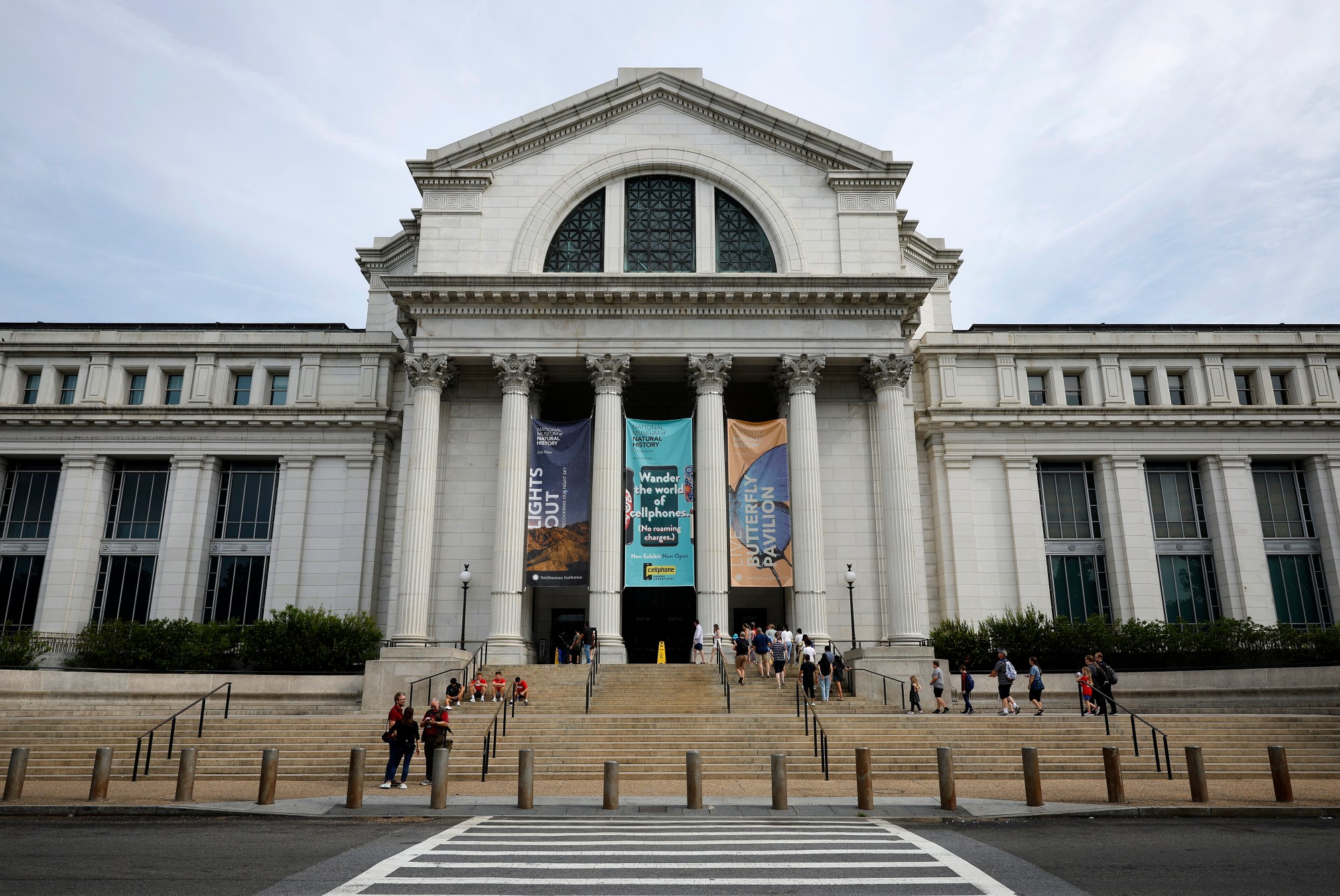 WASHINGTON, DC - AUGUST 21: The Smithsonian National Museum of Natural History stands along Madison Drive Northwest on the National Mall on August 21, 2023 in Washington, DC. An investigation by the Washington Post into the Smithsonian's human remains collections revealed the revered institution is holding 30,700 bones and body parts, including 255 brains as party of its "Racial Brain Collection." Smithsonian Secretary Lonnie Bunch III has apologized for how the collection was created and has built a task force to decide what to do with the remains. (Photo by Chip Somodevilla/Getty Images)