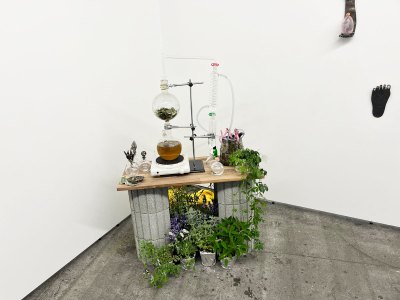 A table with a distillation machine and several herbs around.